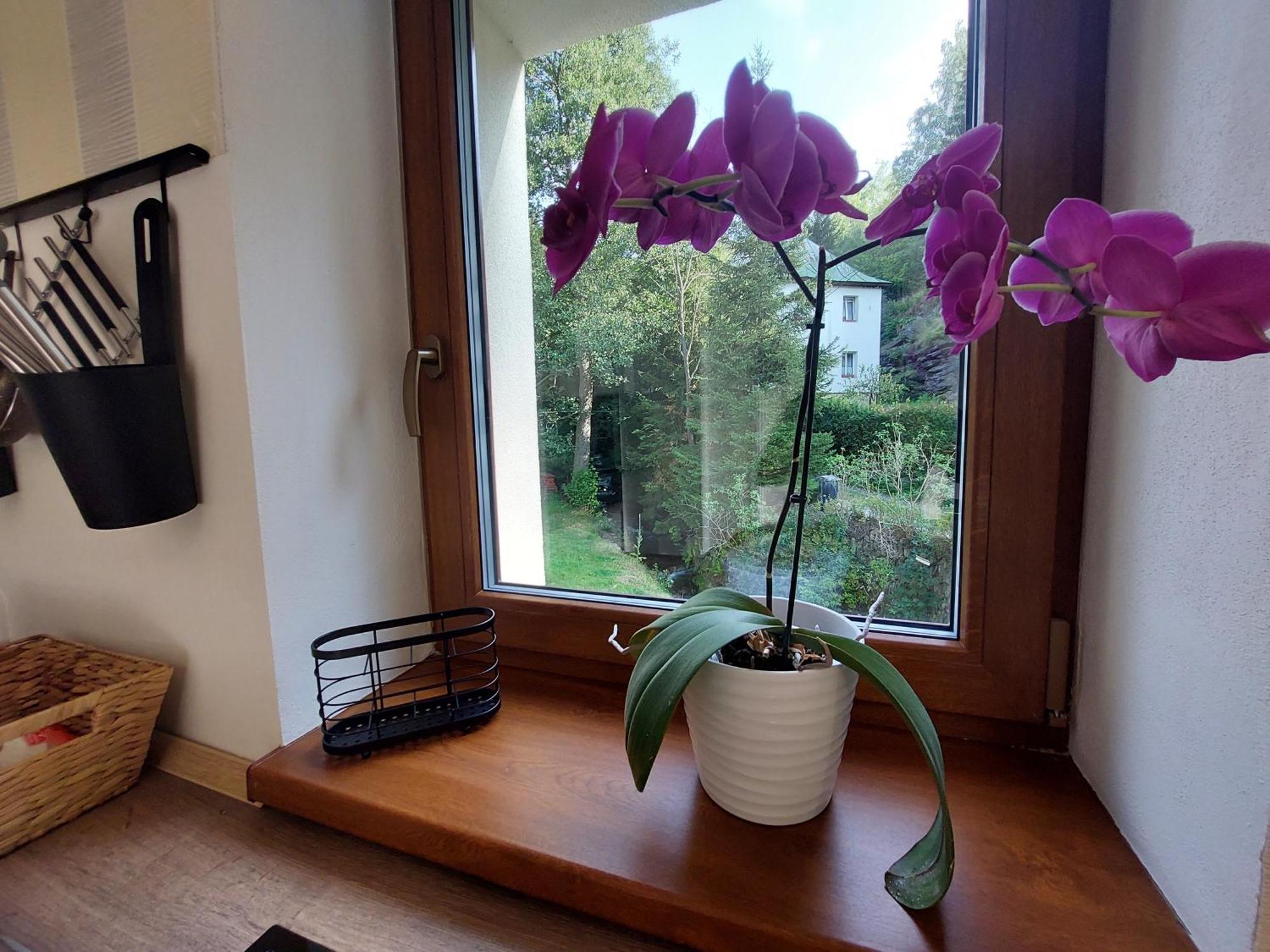 Rezidence Greenhill ⃰ ⃰ ⃰ Kraslice Quarto foto