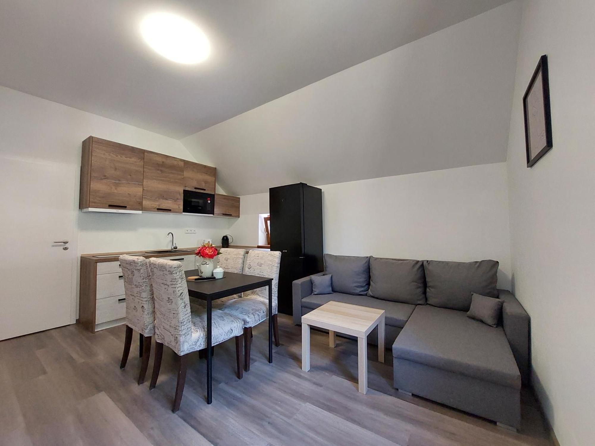 Rezidence Greenhill ⃰ ⃰ ⃰ Kraslice Quarto foto