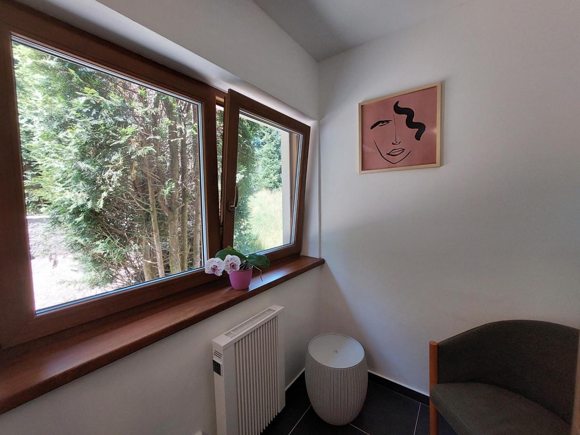 Rezidence Greenhill ⃰ ⃰ ⃰ Kraslice Quarto foto